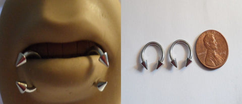 Surgical Steel Horseshoes Spiked Spikes Snake Bites Lip Rings 14 gauge 14g - I Love My Piercings!