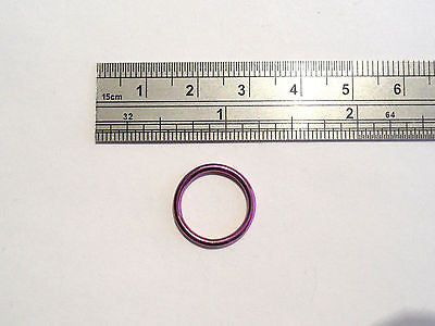 PURPLE SEGMENT Conch Hoop Ring Jewelry 14 gauge 14g 1/2 inch 12mm - I Love My Piercings!