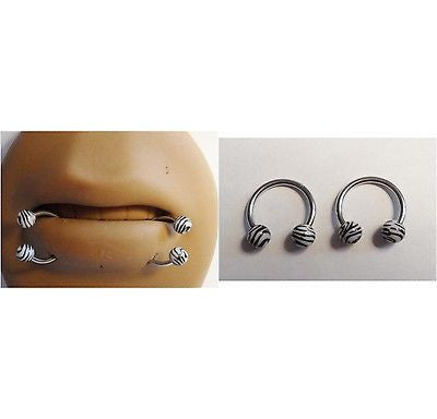 Zebra Stripe Surgical Steel Snake Bites Lip Rings Circulars 16 gauge 16g 9mm - I Love My Piercings!